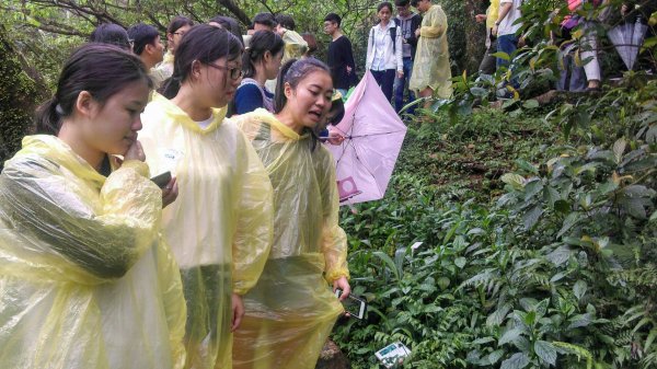 外國語文學系師生實境演練導覽接待。