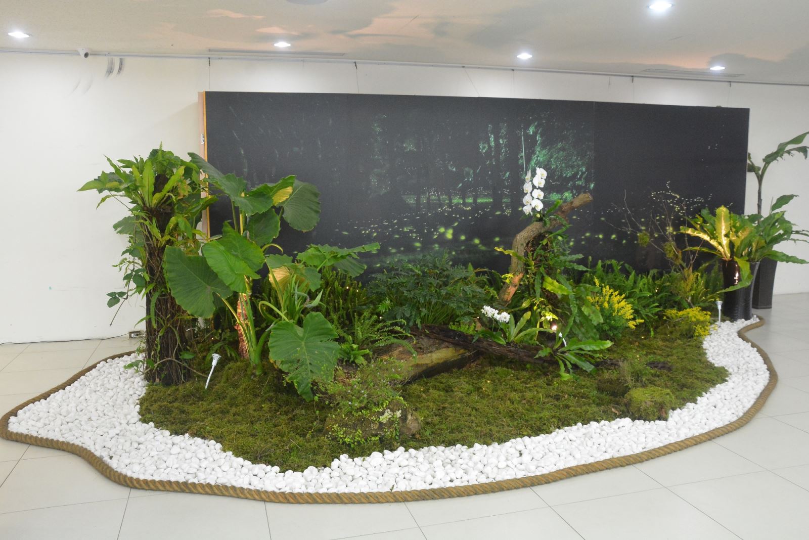 華梵大學特別在圖資大樓五樓會場一隅布置螢火蟲意象區,結合螢火蟲主題並襯托出生態茶席的氣圍。