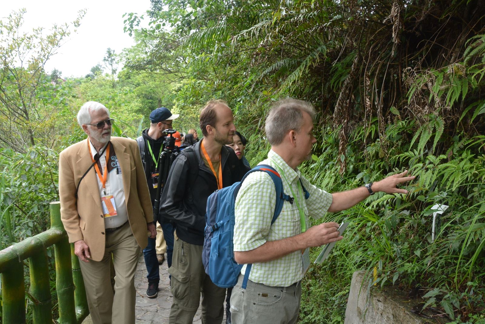 來自世界各國的螢火蟲學者專家對於華梵的蕨類生態很感興趣。